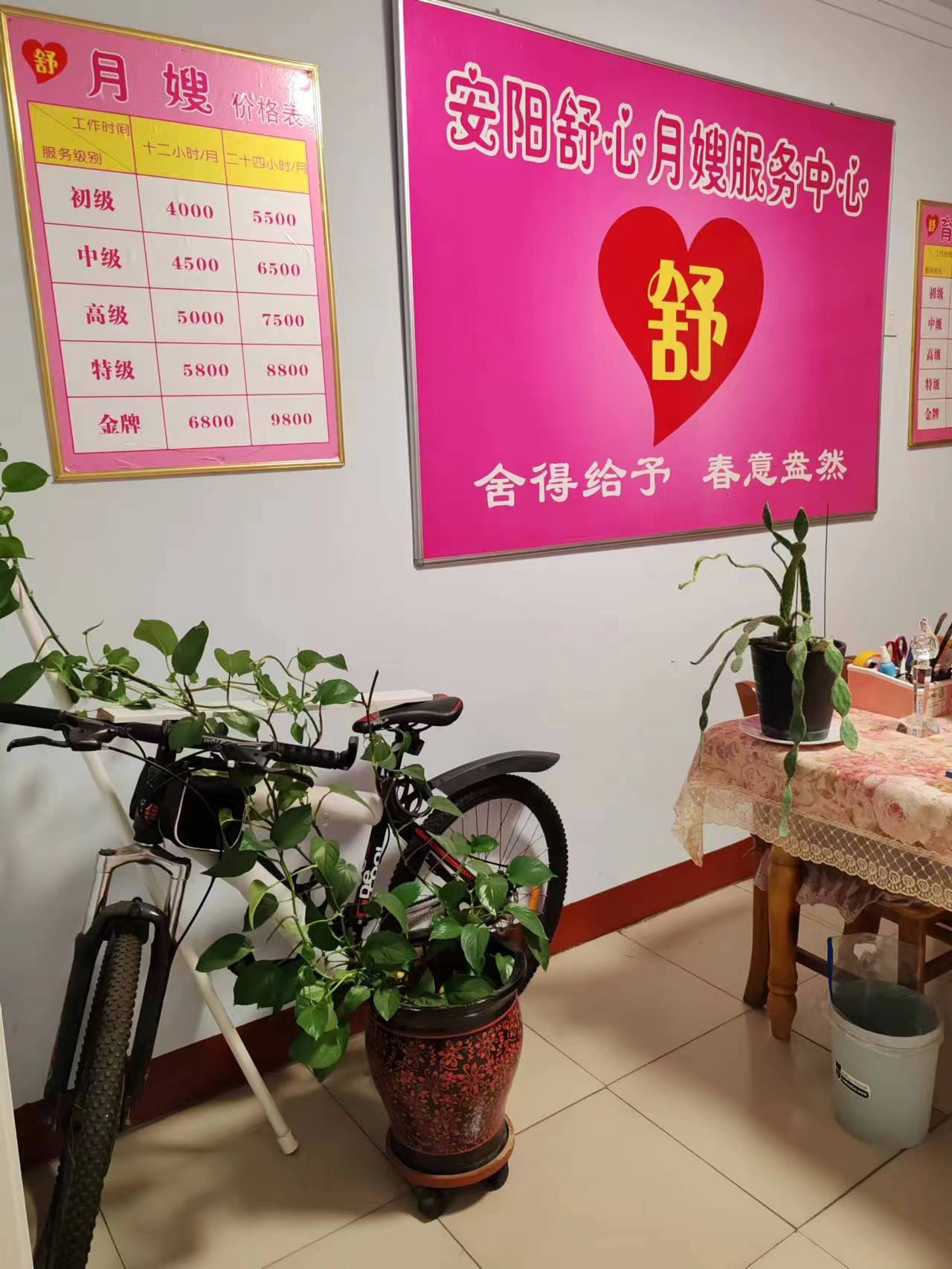 環境展示